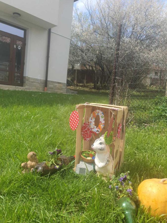 Бадевски Рай- Къща София Veliko Tŭrnovo Exterior foto